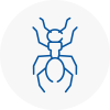 Ant Removals In New Southgate