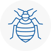 Bed Bug Extermination In New Southgate