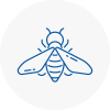 Bee Nest Removal New Southgate