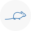 Mice Exterminators In New Southgate