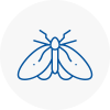 Moth Control Specialists In New Southgate