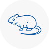 Rat Control New Southgate