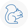 New Southgate Rodent Removals