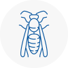 New Southgate Wasp Nest Removal